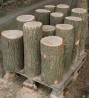 dřevo dubové - špalky na štípání dřeva